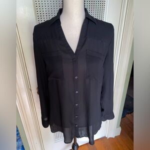 Express sheer blouse
